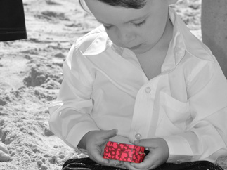 Wedding Planning portfolio 4